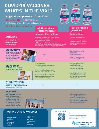 Picture of COVID-19 Vaccine Ingredients Infographic