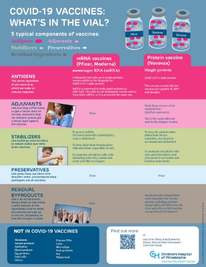Picture of COVID-19 Vaccine Ingredients Infographic