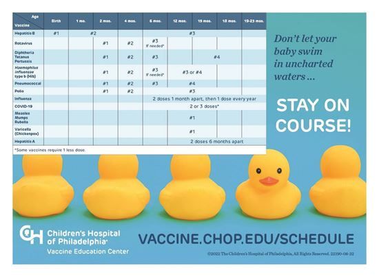 Picture of Immunization Schedule Clings:  Set of 100