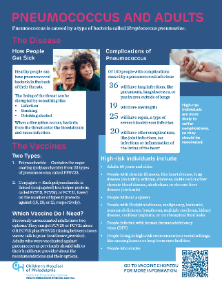 Picture of Pneumococcus and Adults Infographic