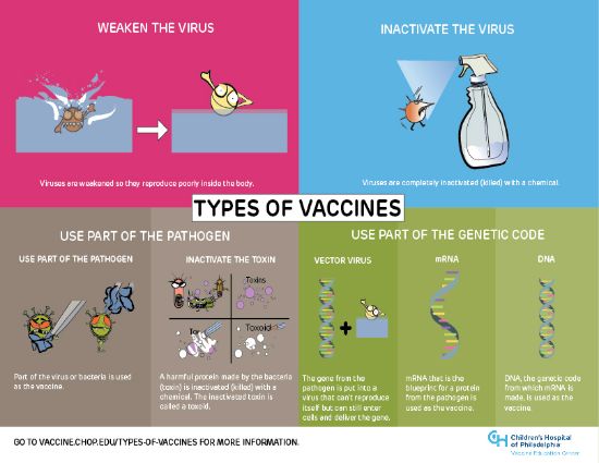 Picture of Types of Vaccines Infographic